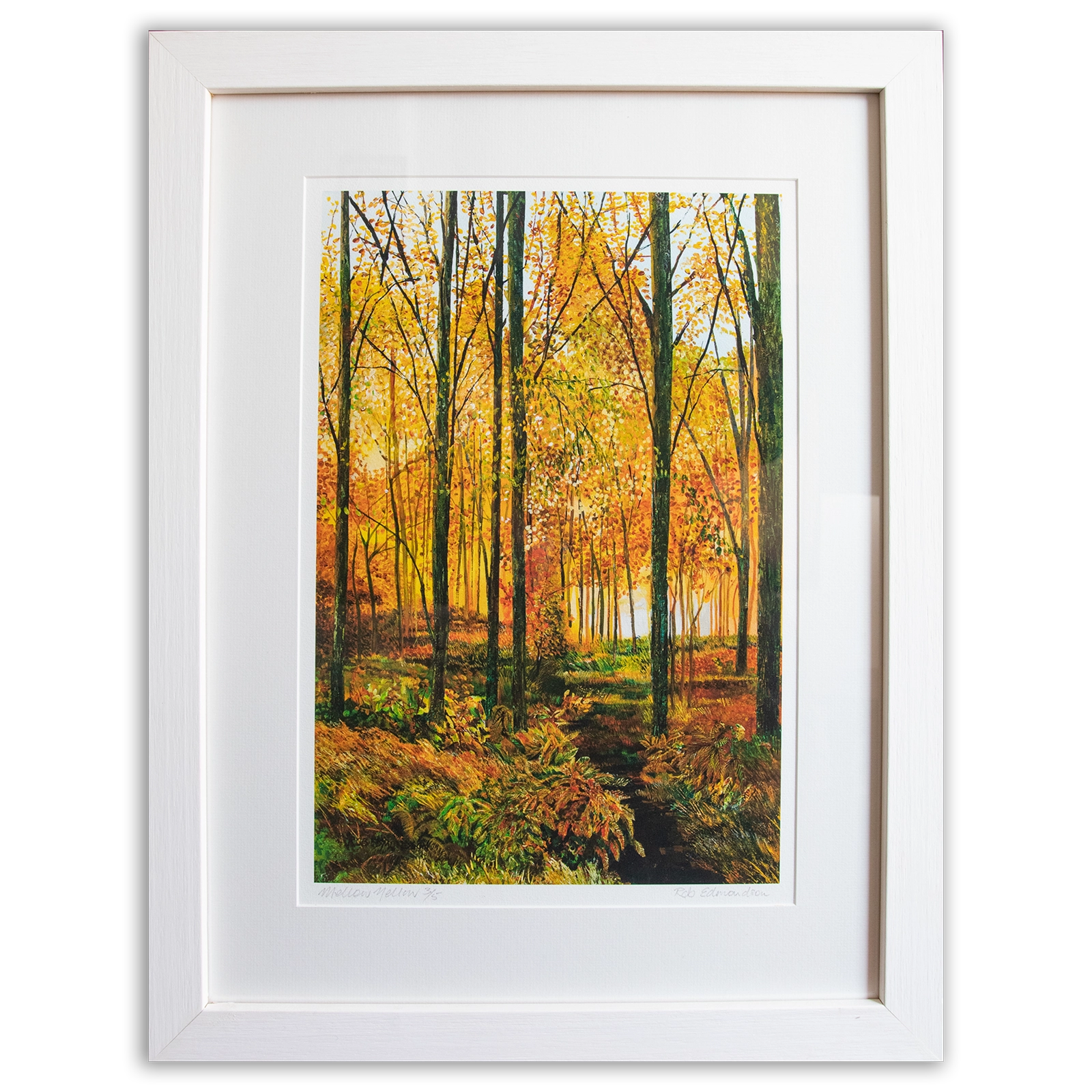'Mellow Yellow', Rob Edmondson. A limited edition of 5 prints.