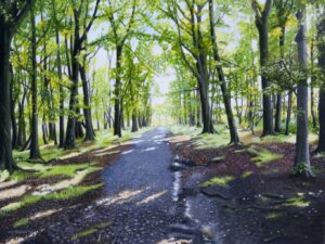 Shaws-Drive-Spring.jpg