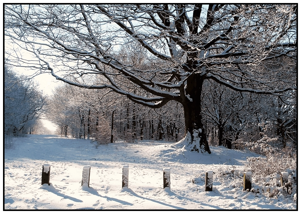 'Towards Gilsbrook, Rivington', David Ruaux.