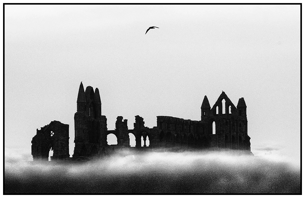 'Whitby Abbey' David Ruaux