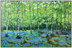 bluebells-and-silver-birches.webp