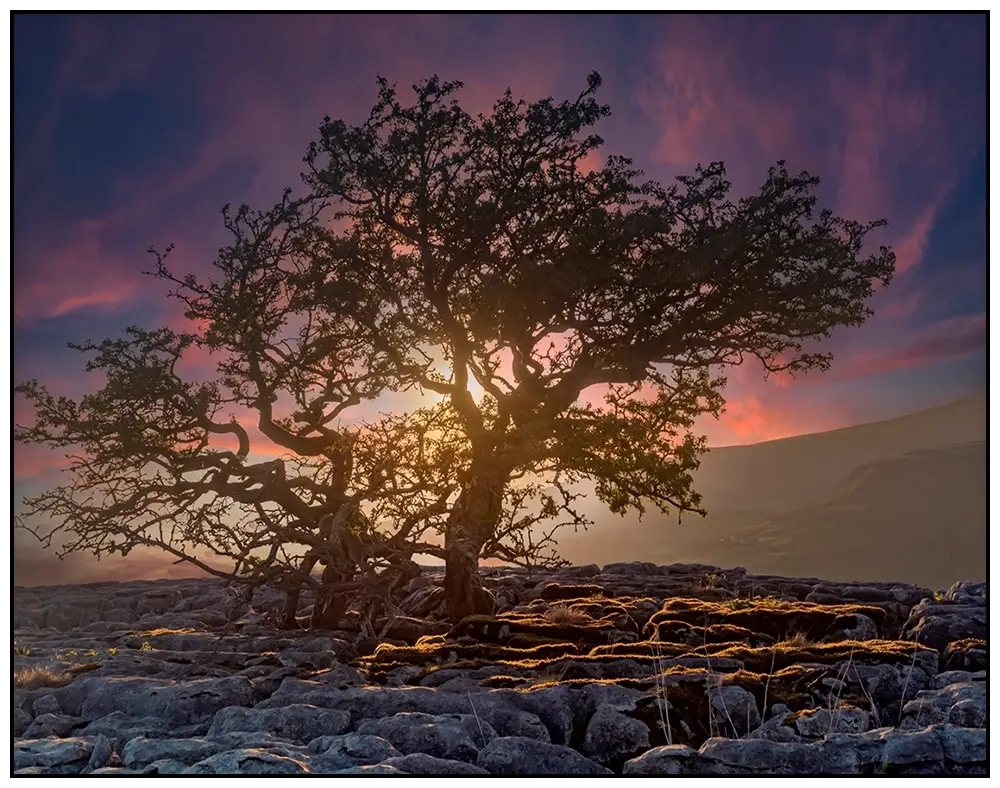 'Limestone Pavement Sunset', Stephen Knowles.