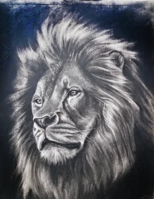 lion-natalie-heslin.webp
