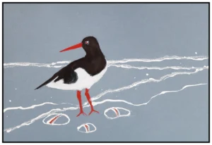 oyster-catcher-rosie-rimmer-original.webp